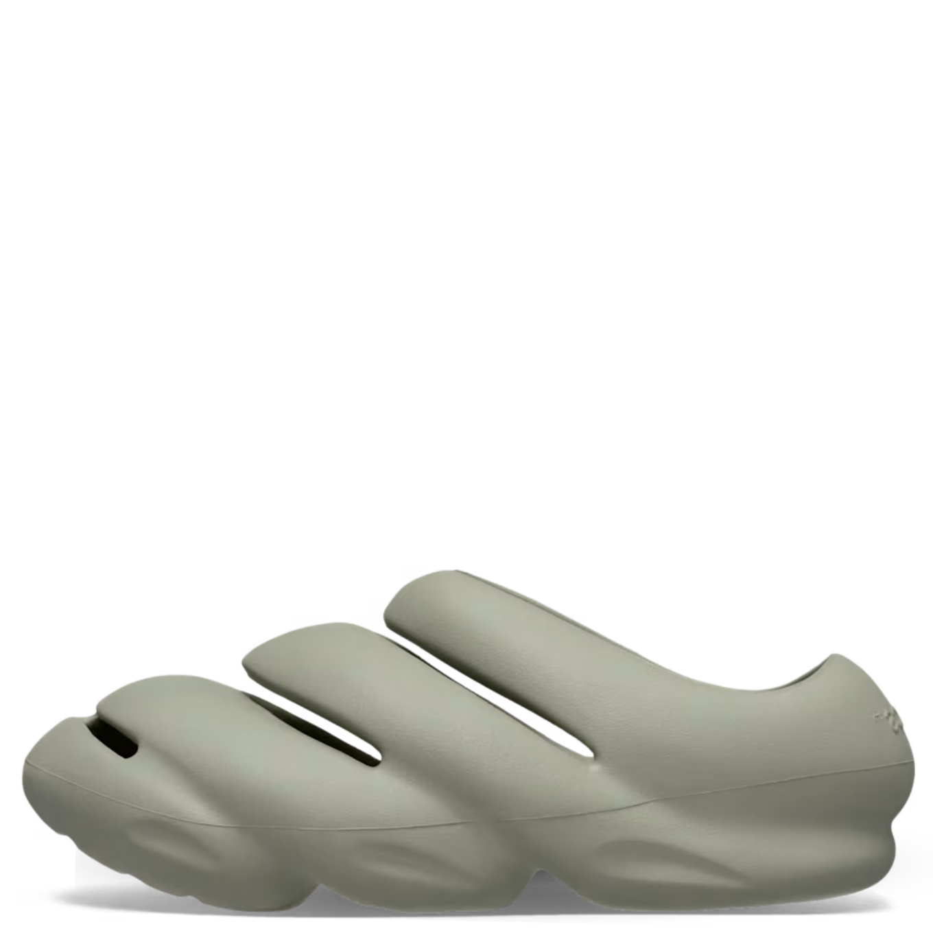 CROCS ROY