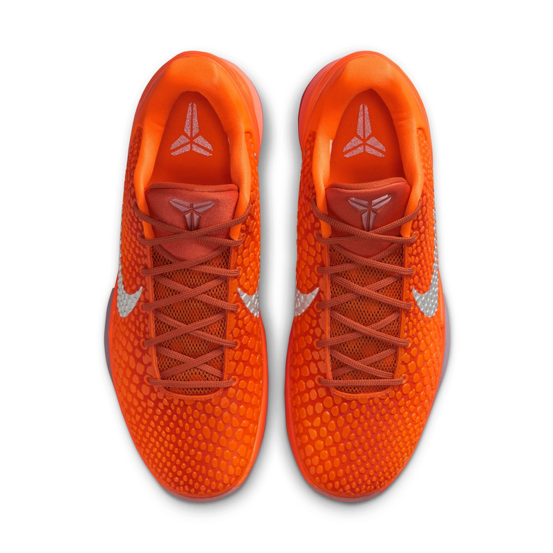 KOBE VI PROTRO