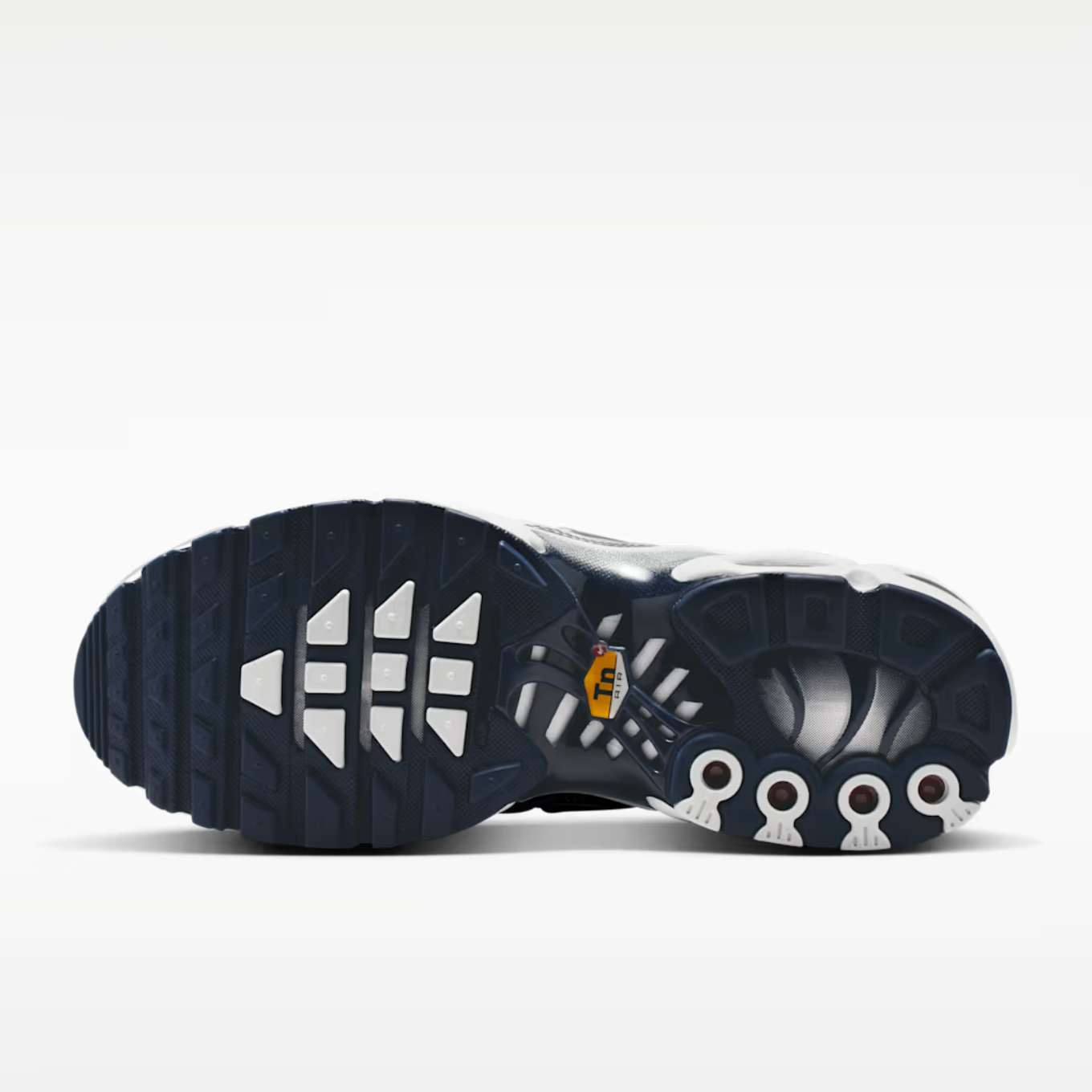 NIKE WMNS AIR MAX PLUS